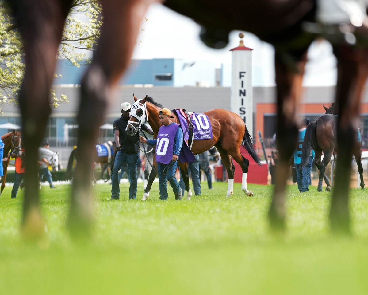 OaklawnRacing's tweet image. Race season loading… 6 days until go time. Grab your friends and lock in your plans— We'll see you December 12!