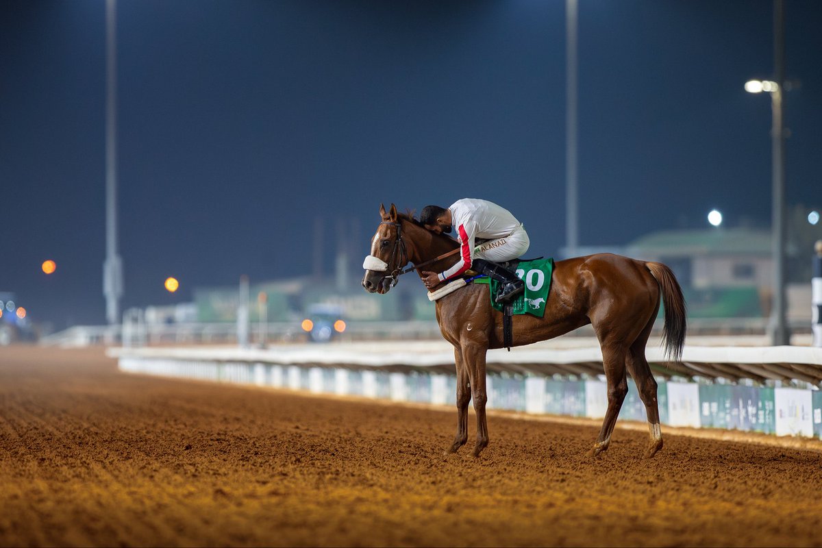 يالها من لقطه فروسية  مؤثرة ..
ترصدها عدسة -علي الزنيدي - الذي تخصص في اقتناص هكذا لقطات للابطال ..مصور فنان التقطها بحس ابداعي رفيع .. ومهارة تصويريه عاليه  .. 
توارى المتنافسون وخلت الساحه لبطلها الاوحد القادم من عرين الاسود البيضاء .. 
بطل كأس ولي العهد للمستورد (صياح ) الذي