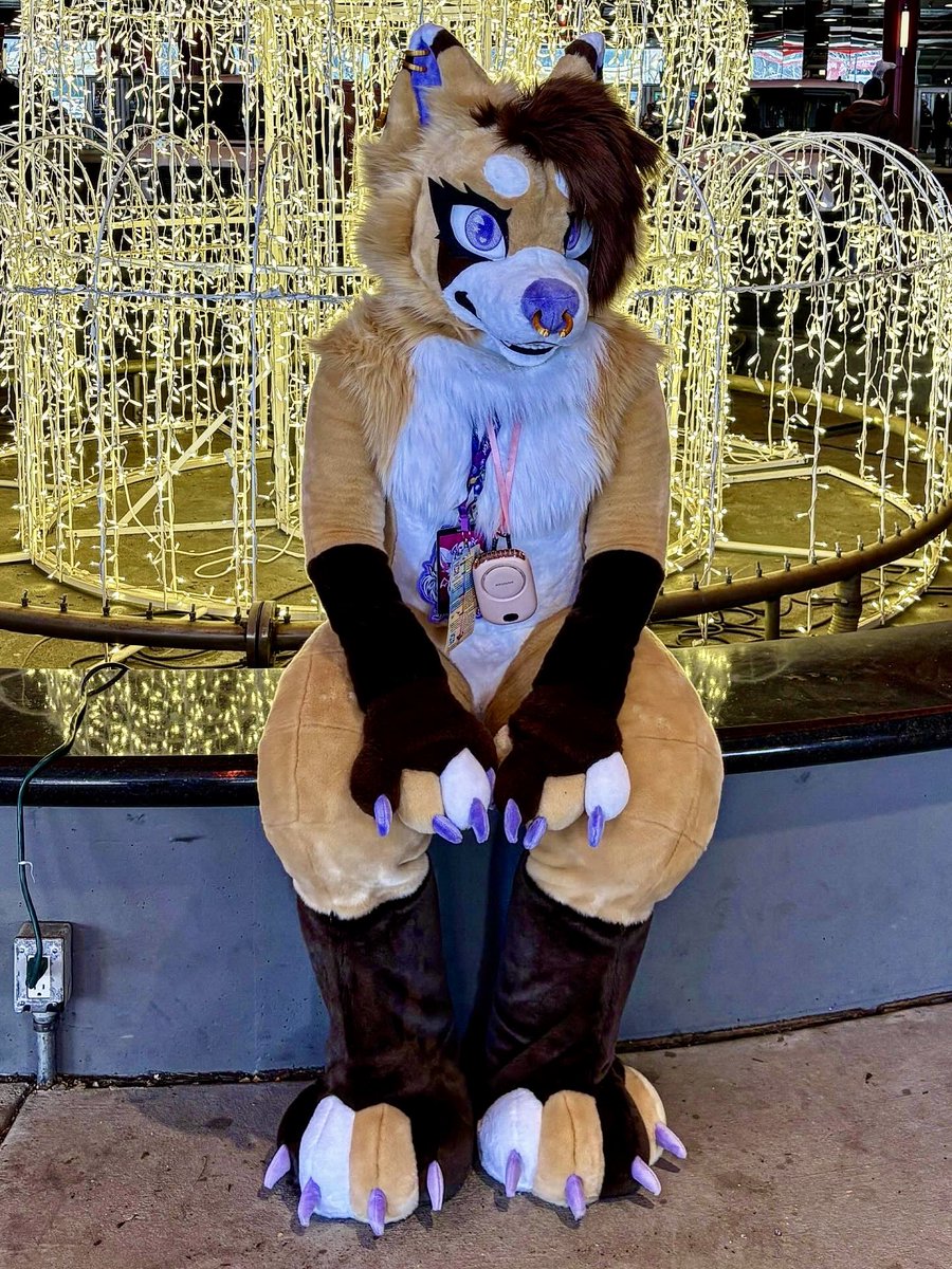 Top Dafloof - MFF 2025 tweet media