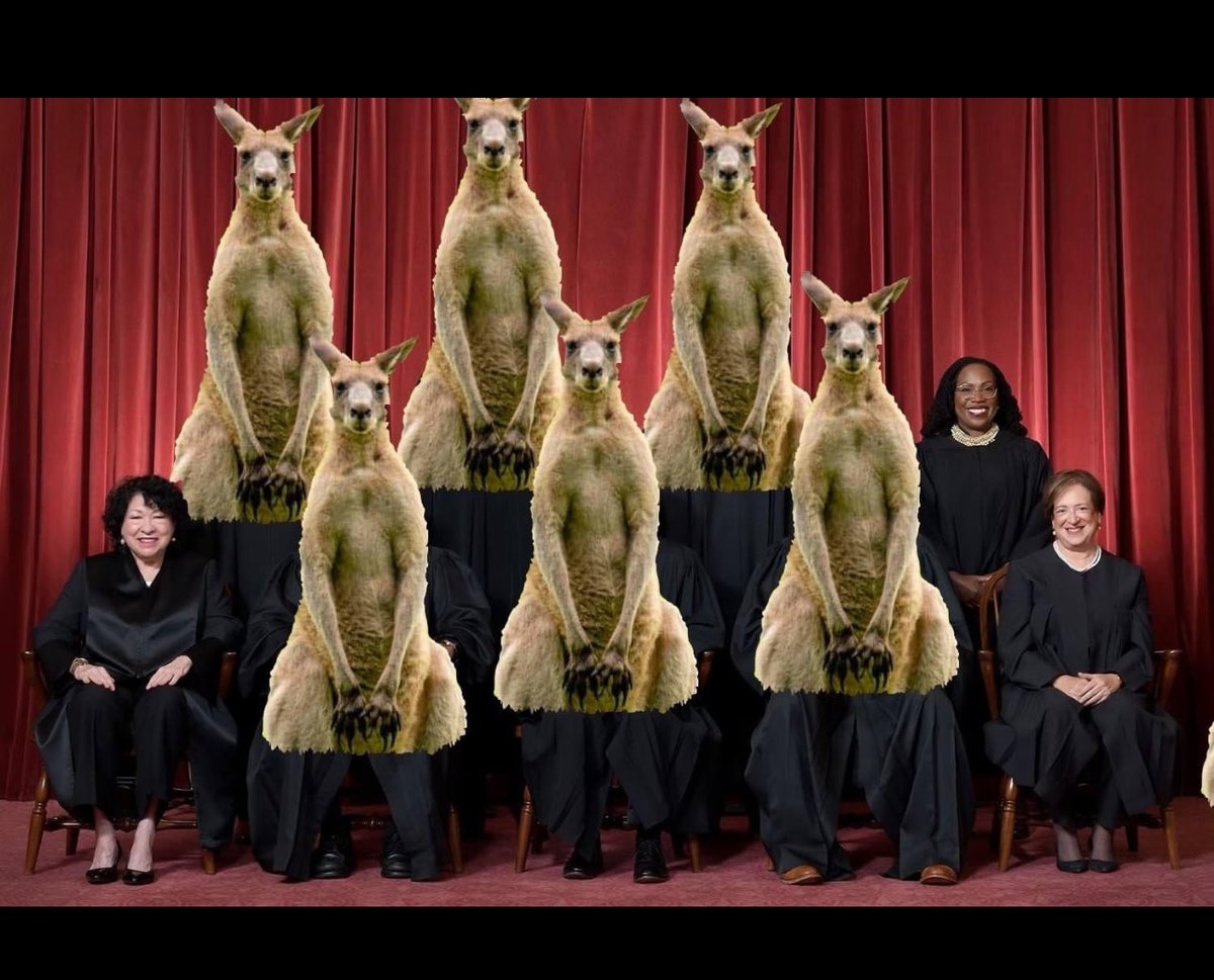 415holgate's tweet image. Compromised United States Supreme Court. 👇🏿👇🏿👇🏿
#SCOTUSReform 
#VOTE