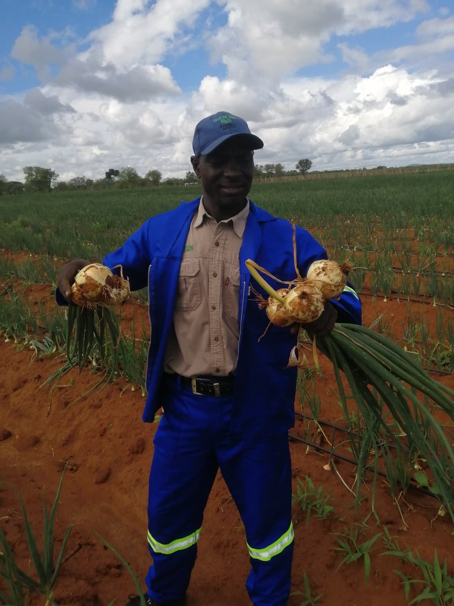 Divah Phiri tweet media