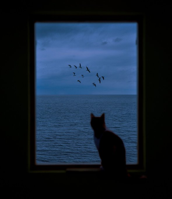 おはようございます☕ 気分いい〜✨。夜ごはん何にしようかな。無理せずいこ 😊 👨‍🏭