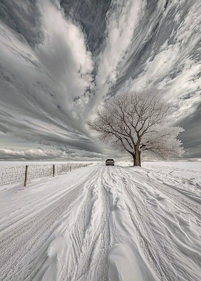 Patbrdh's tweet image. 