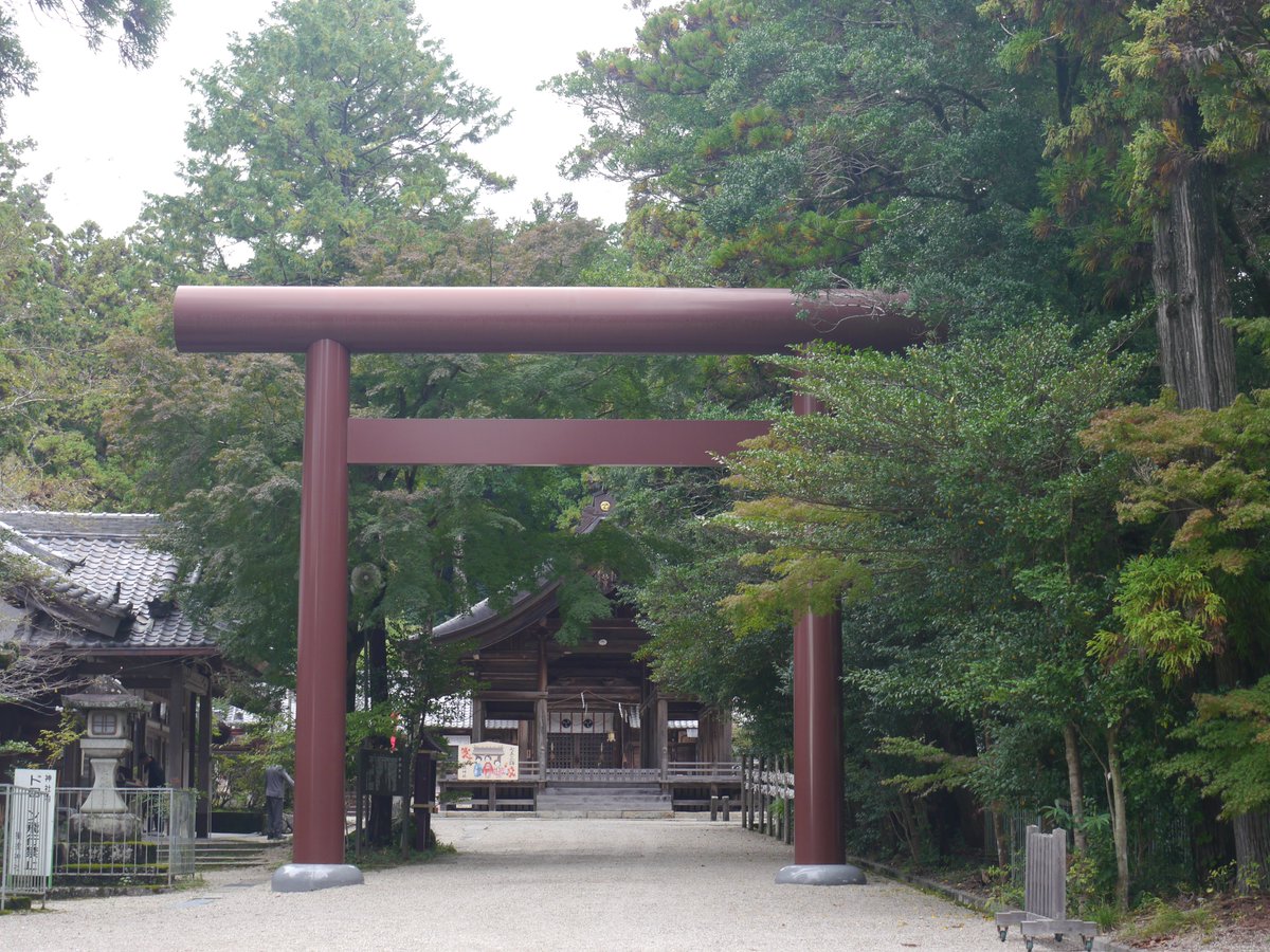 𝗌𝖺𝗄𝗎 tweet media