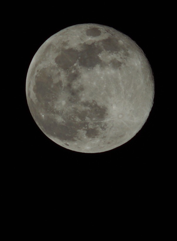 満月 12月5日今年最後の満月を撮影してみました。 激安で売っていた、謎の