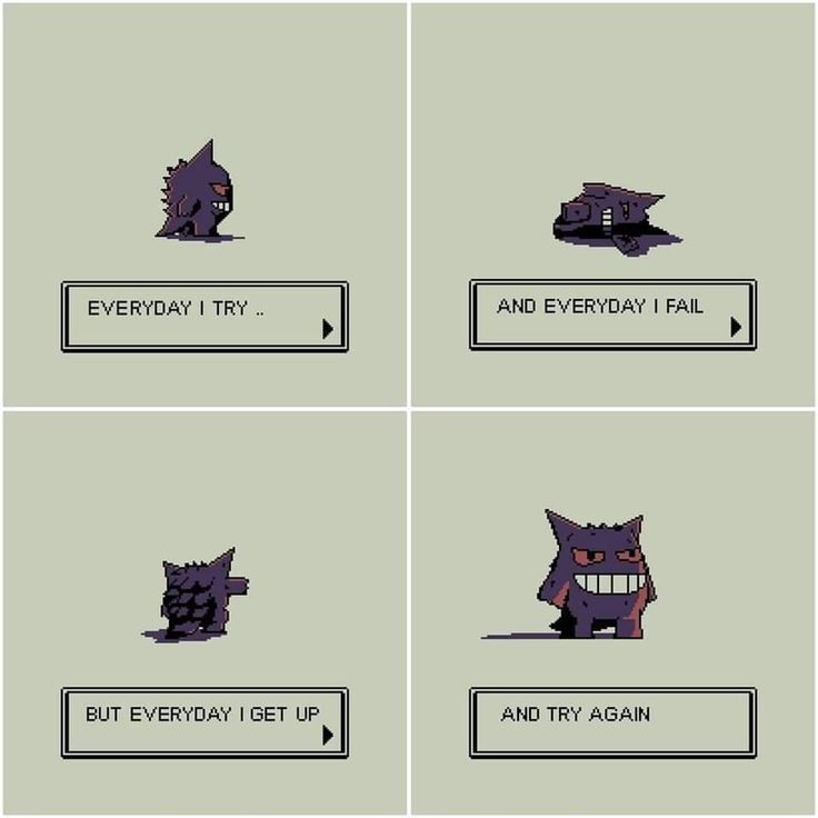 Pokémon Daily (@pokemon_dailyy) on Twitter photo 