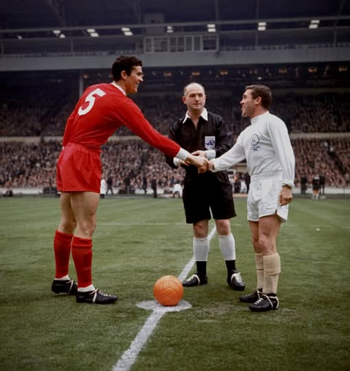 Helmer Reenberg tweet media