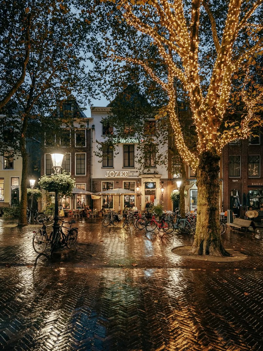 soylebisakinlik's tweet photo. Leaves on the ground and lights in the trees ✨ https://t.co/NvGvzaoCT5