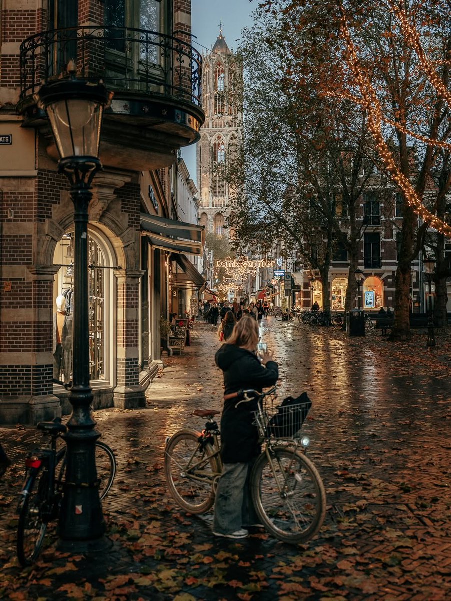 soylebisakinlik's tweet photo. Leaves on the ground and lights in the trees ✨ https://t.co/NvGvzaoCT5