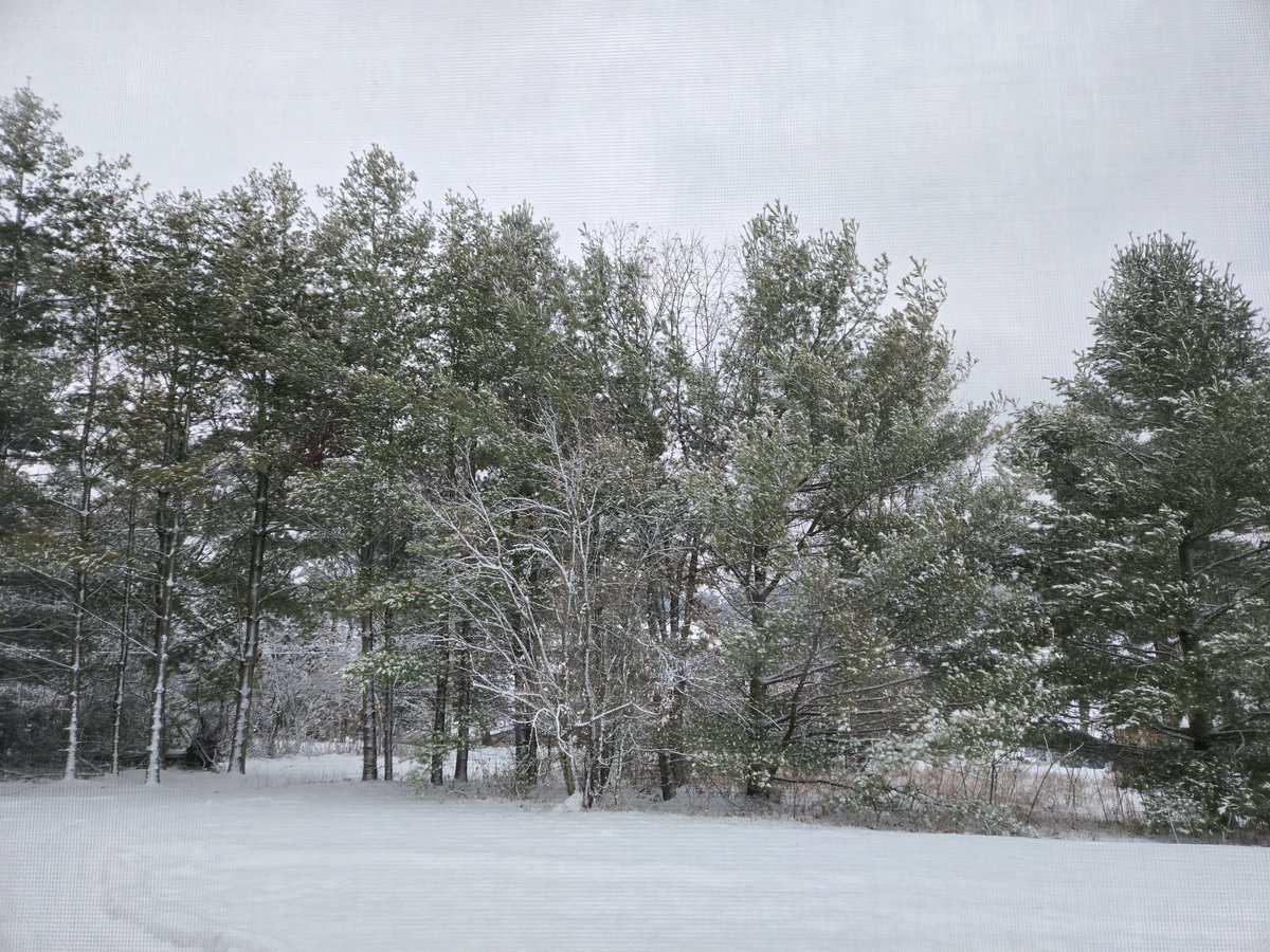 WritingSparkle's tweet photo. "He who marvels at the beauty of the world in summer will find equal cause for wonder and admiration in winter.” – John Burroughs

DAY 6 of the photo challenge. 
#winter #winterscene #morning #photochallenge #photooftheday #picture #snowytrees #daysix #coldday #December https://t.co/rSjiegr2mk