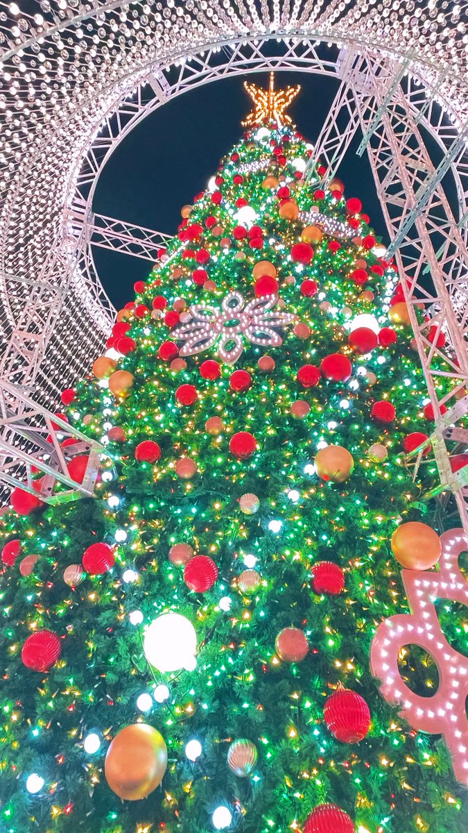 naofeb25's tweet photo. キレイでした

#ハウステンボス
#グランド・シャンデリアツリー https://t.co/sQ2eAG3Y4a