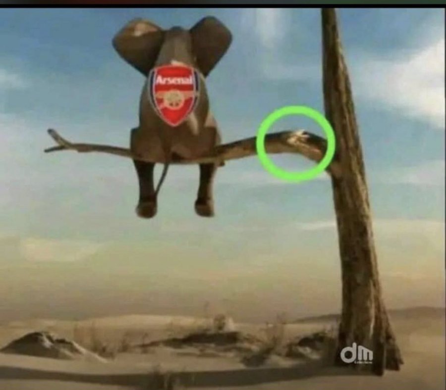 It's happening again, The Arsenal elephant is falling off

Manchester City watching closely