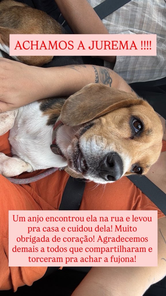 apriholanda's tweet photo. ACHAMOS A JUREMA!!! https://t.co/AhFJN8jPxs