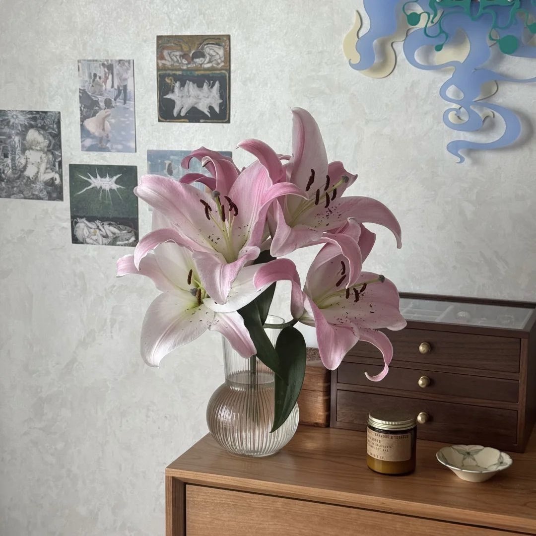 sovwoon's tweet image. ㅤㅤㅤㅤㅤㅤㅤㅤ
       ( 𝐼. 𝑊ℎ𝑖𝑚𝑠𝑦𝑤𝑖𝑠ℎ )                 ❀     ╭╮ ╭
                           ㅤ                      ˖ ˚ ˖        ┆ ╰╯♡
                                                                     ⌞ ╌╱