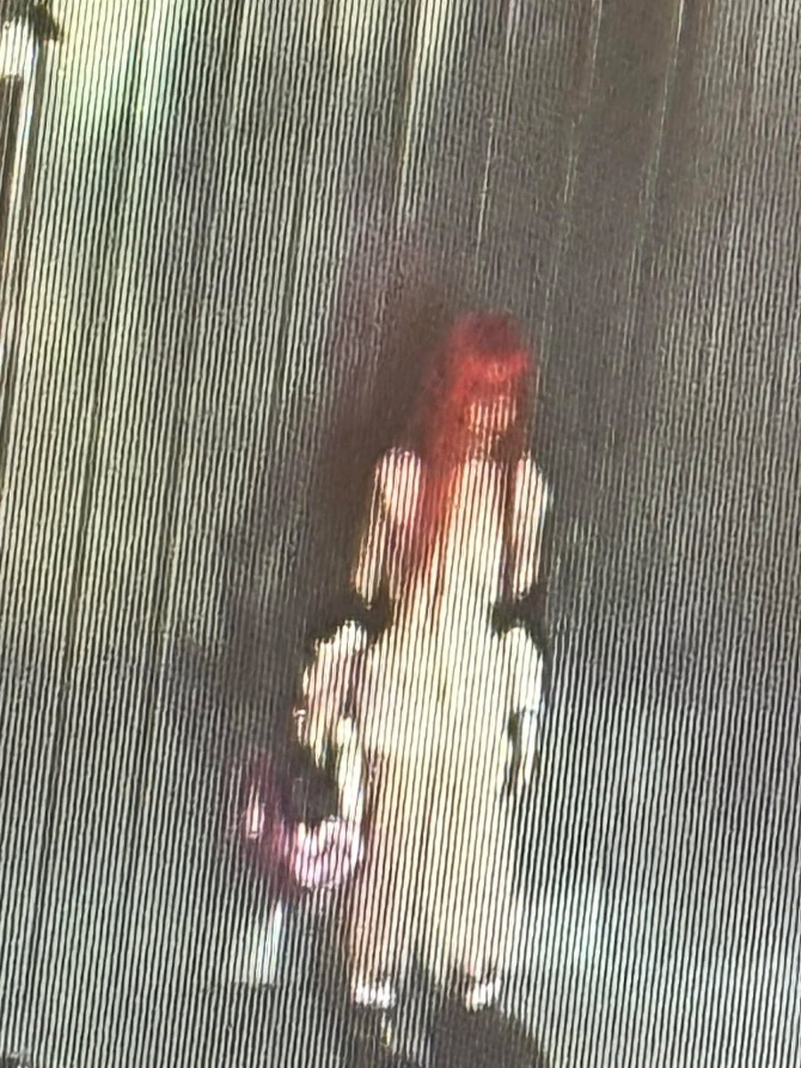 sovwoon's tweet image. ㅤㅤㅤㅤㅤㅤㅤㅤ
       ( 𝐼. 𝑊ℎ𝑖𝑚𝑠𝑦𝑤𝑖𝑠ℎ )                 ❀     ╭╮ ╭
                           ㅤ                      ˖ ˚ ˖        ┆ ╰╯♡
                                                                     ⌞ ╌╱