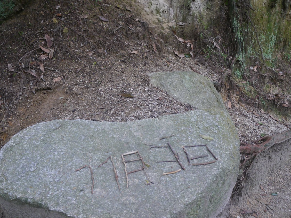 𝗌𝖺𝗄𝗎 tweet media