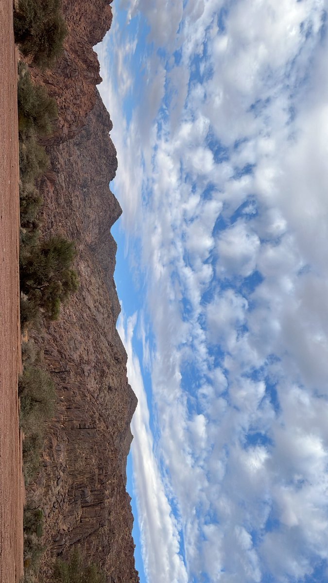 skip_ur's tweet image. "اعتقيني عتق الارقاب يا حزة عصير..
واستريني واصلحي بين عرفي وجهلي".