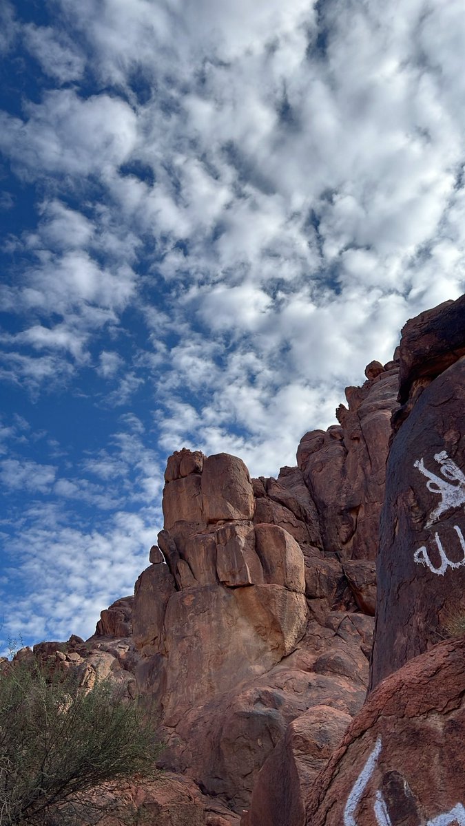 skip_ur's tweet image. "اعتقيني عتق الارقاب يا حزة عصير..
واستريني واصلحي بين عرفي وجهلي".