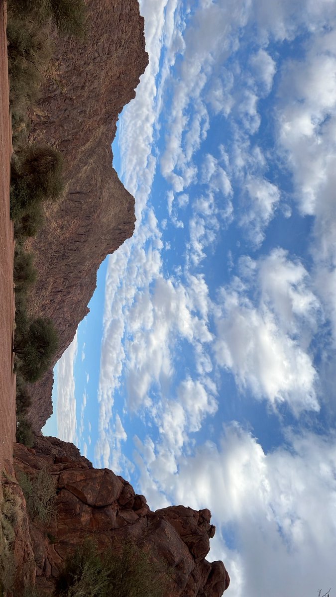 skip_ur's tweet image. "اعتقيني عتق الارقاب يا حزة عصير..
واستريني واصلحي بين عرفي وجهلي".