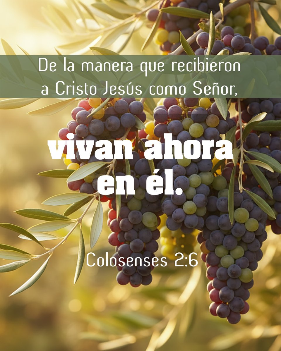 CercaEsta's tweet image. Por eso, de la manera que recibieron a Cristo Jesús como Señor, vivan ahora en él— Colosenses 2:6

#Cristo #Colosenses #versículo #promesas #Jesús