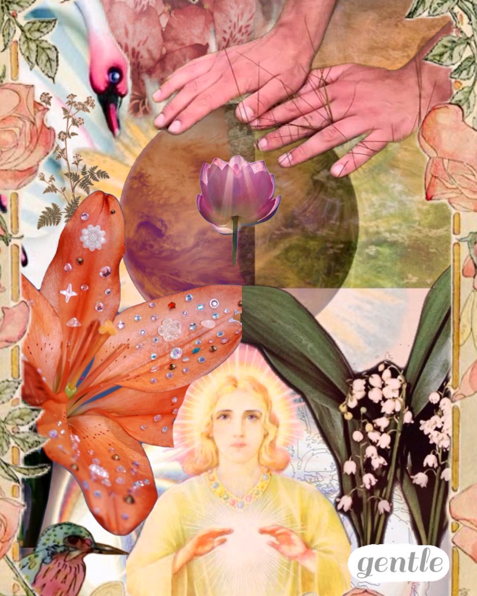 Layton Elyas tweet media