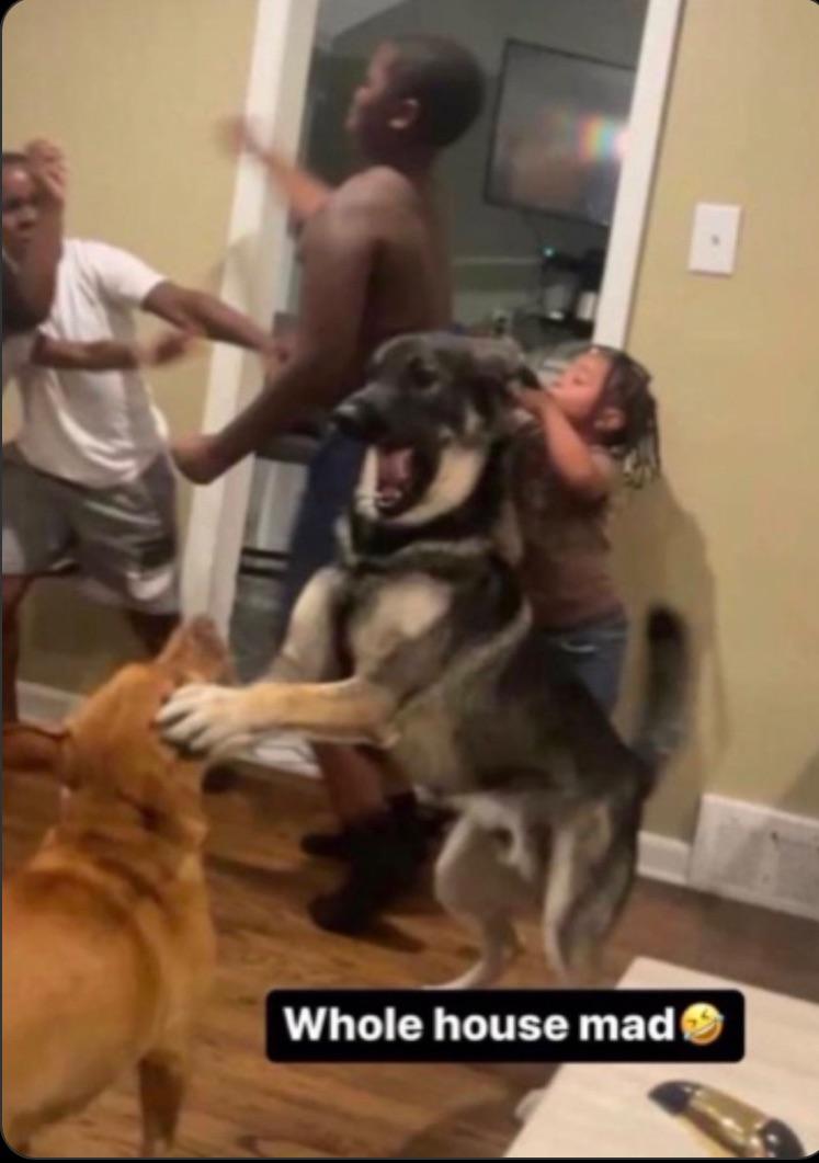 capvirgvl's tweet image. the tl rn