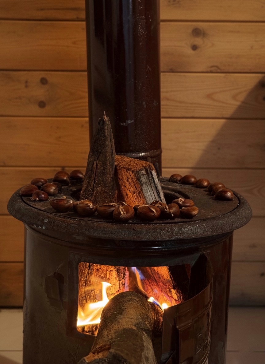 Ali Biçen (@alibicene) on Twitter photo 