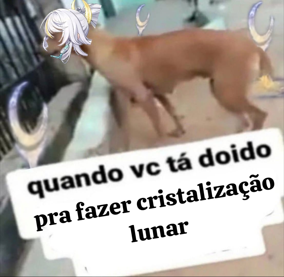 ≼ 𝕐𝕔𝕣𝕠 ≽ tweet media