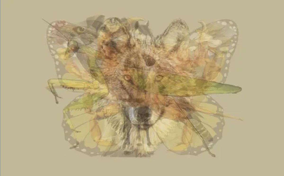 みみみみんこ (@mimiminco_) / Posts / X