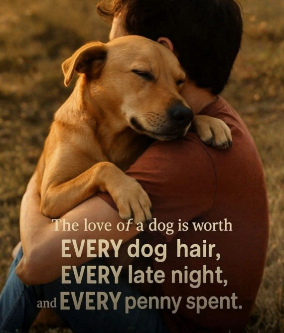 𝕏 Dogs (@_xdogs) on Twitter photo 