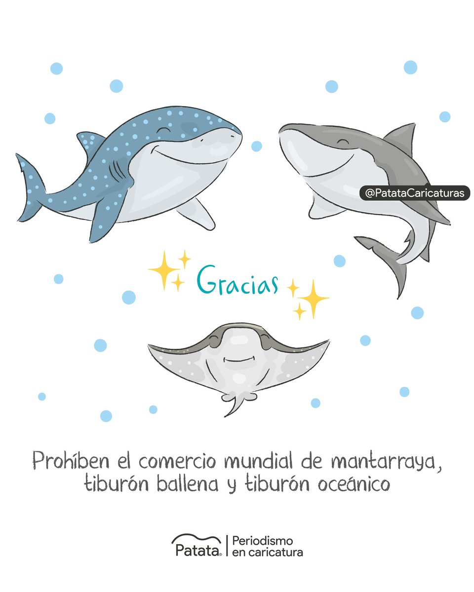 🌊❤️ Prohíben el comercio de la mantarraya, el tiburón ballena y en tiburón oceánico.
🧵