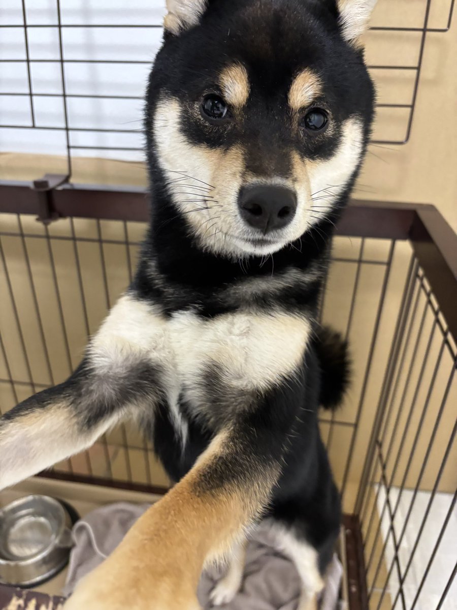 おはようございます。
今日も始まりました〜