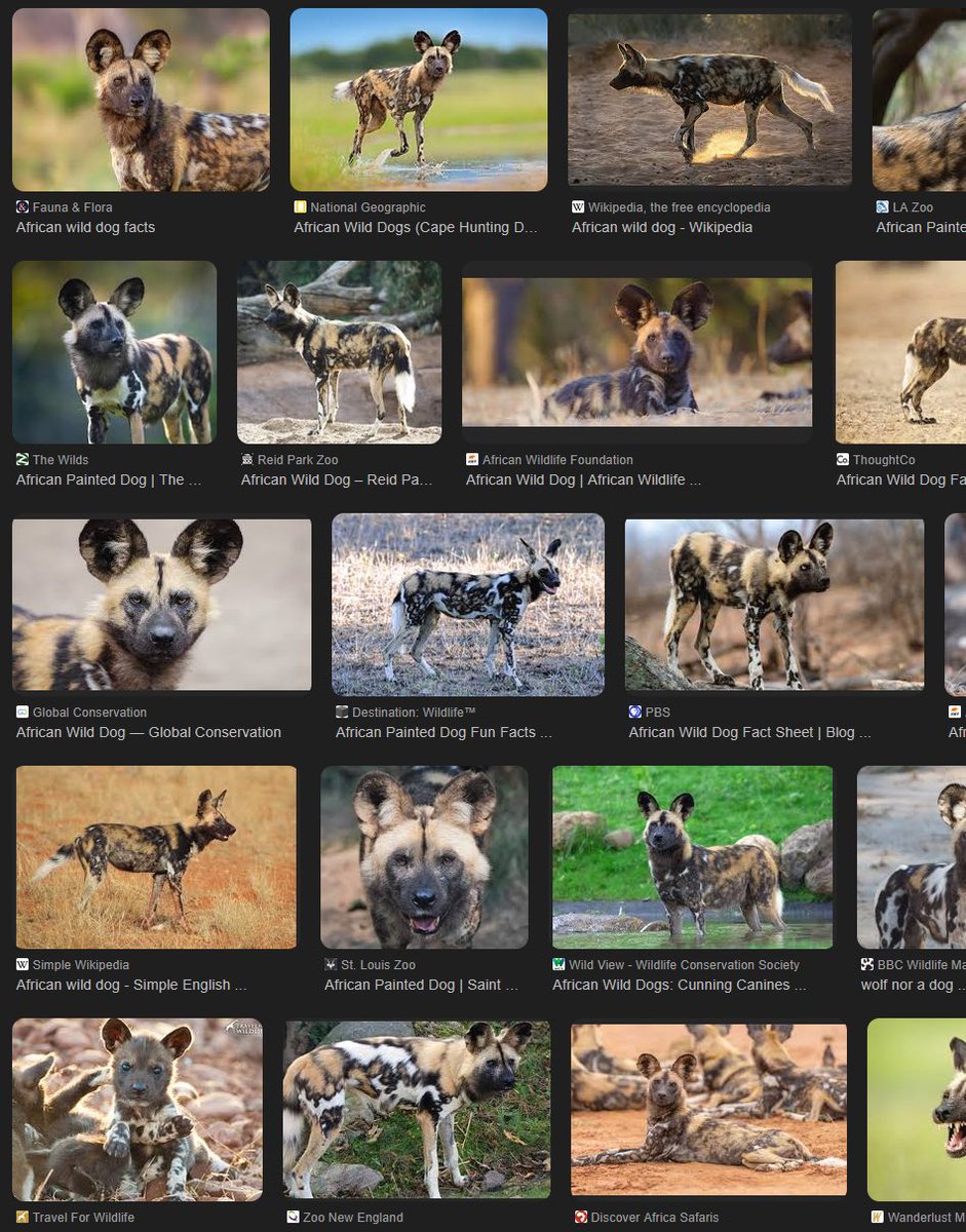 SnapBeasts tweet media