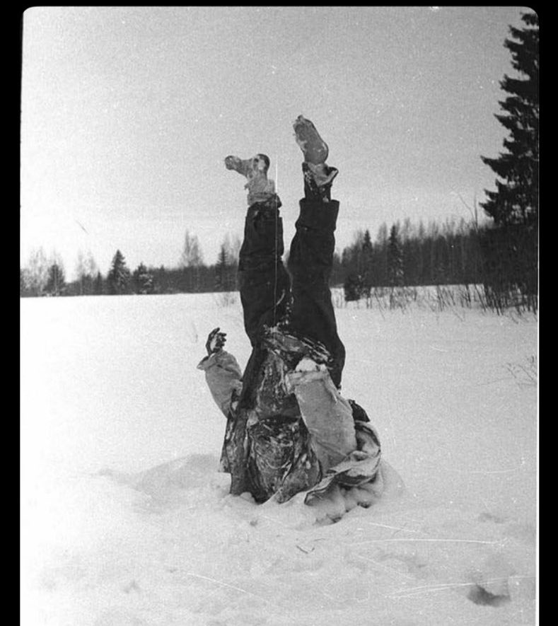 Happy independence day Finland!🇫🇮