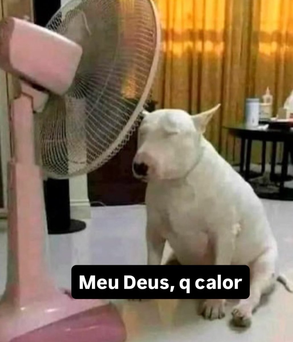 Shitpost só que de verdade tweet media