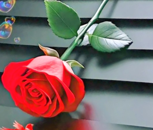 Herşey vaktinde güzel.
Geç yağan yağmur kurumuş çiçeğe fayda etmez 

#cumartesi