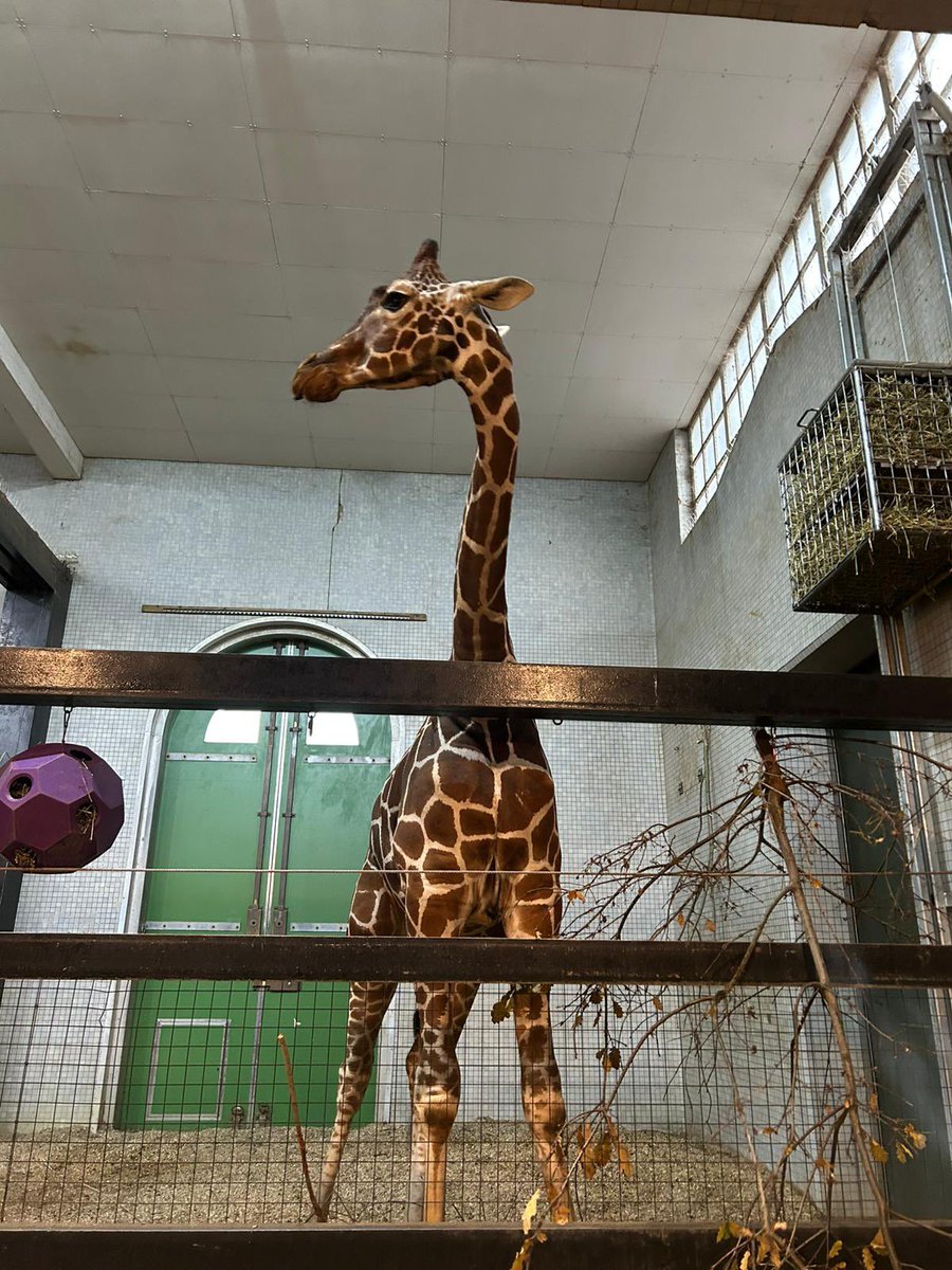 Haringey Learning Partnership tweet media