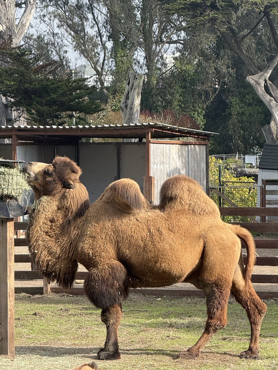 Jaclyn Konzelmann tweet media