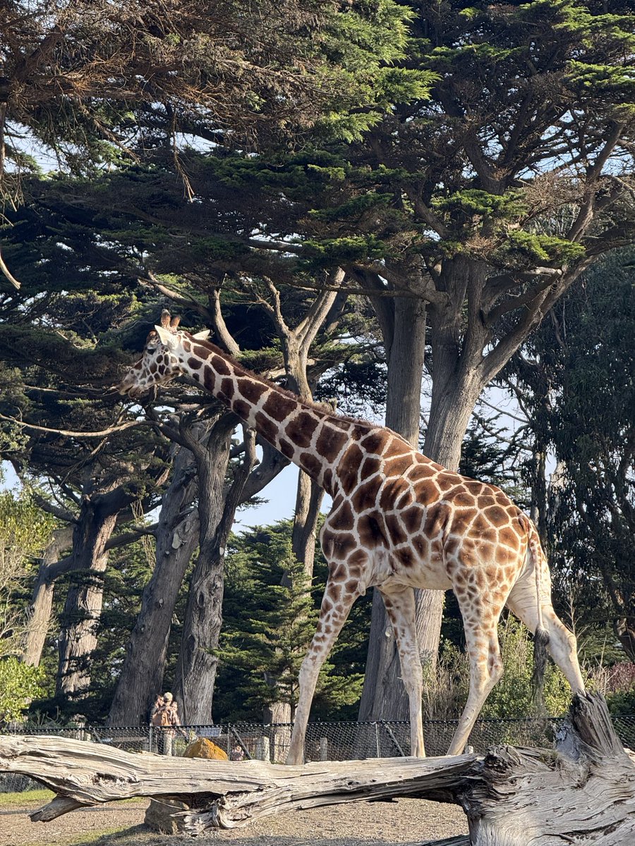 Jaclyn Konzelmann tweet media