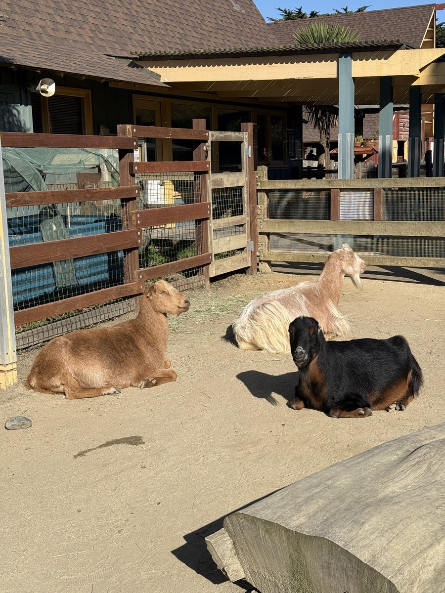 Jaclyn Konzelmann tweet media