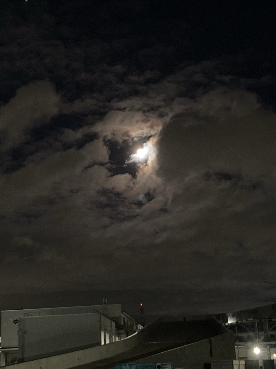 きょう tweet media