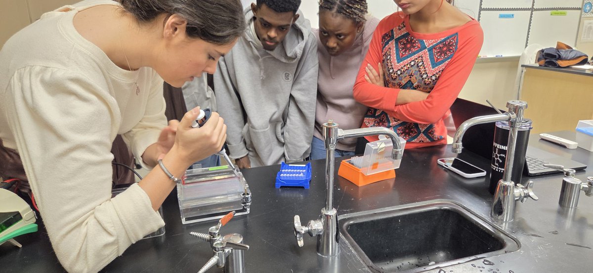 Alex Kang tweet media