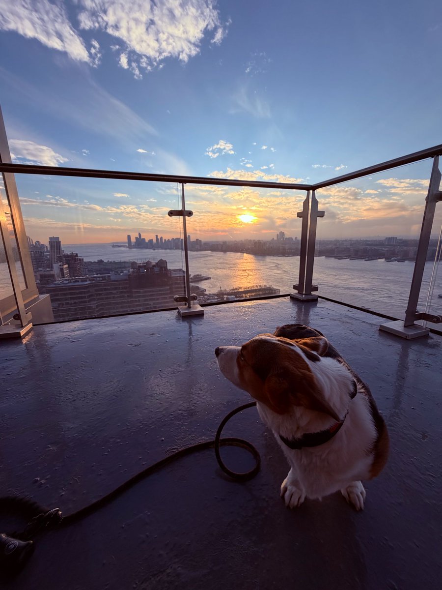 George Conway ⚖️🇺🇸 tweet media