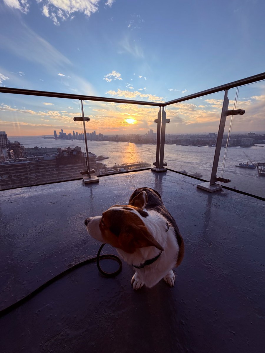 George Conway ⚖️🇺🇸 tweet media