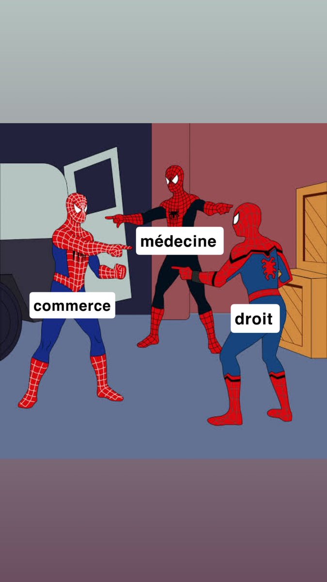 daphne_sng07's tweet image. les miss chaque année #missfrance2026