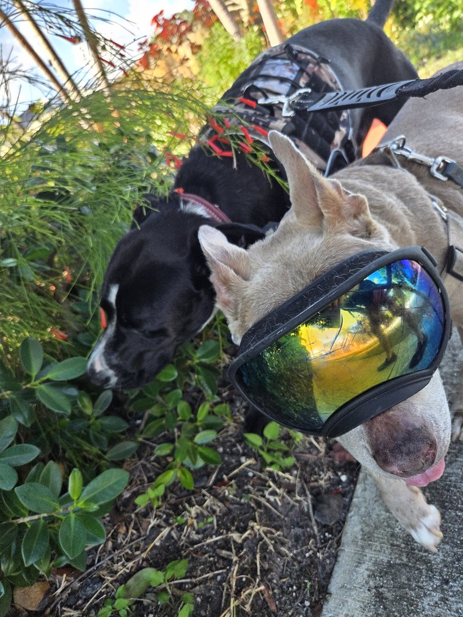 SALGORHYTHM (@salgorhythm) on Twitter photo 