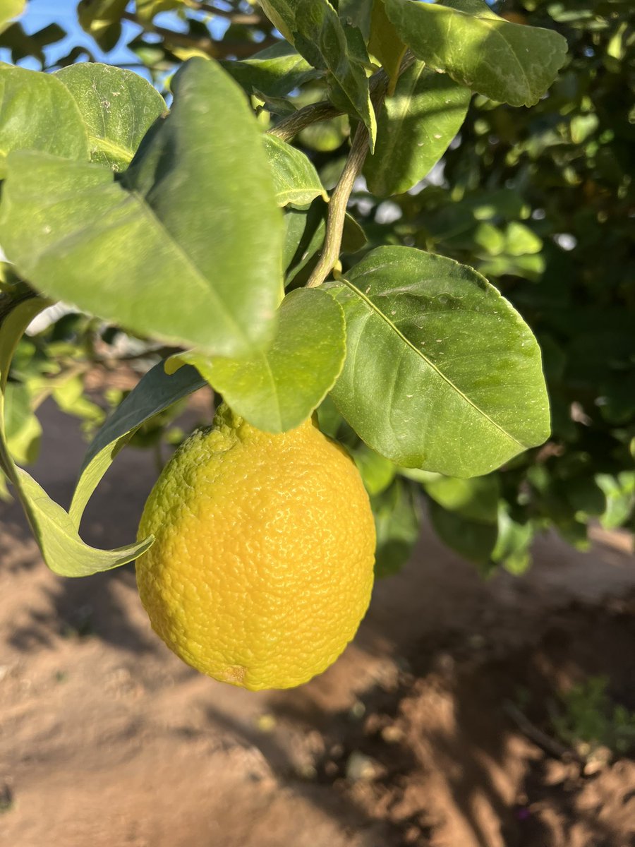 Bendita mi tierra 🥰