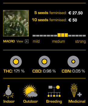 ToroGrow's tweet photo. Green House Seeds - Damn Sour (fem.) https://t.co/9nbkbBwY29 #Seeds #ToroGrowshop #гроушоп #каннабис #TG #Growshop #семена #Cannabis #torogrow https://t.co/QyMWjMbhtp