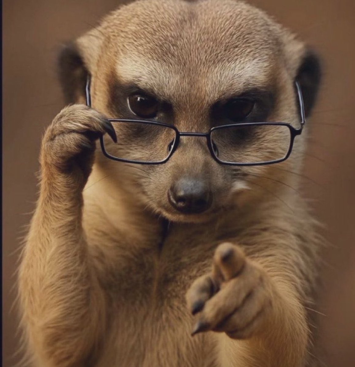 Me to Arsenal fans whenever they drop point…😂