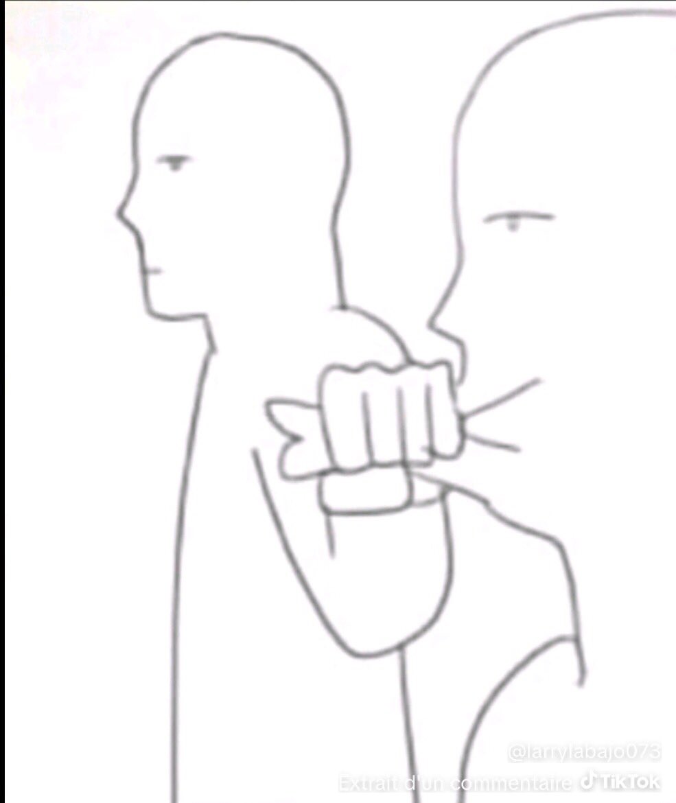 Midi-Pyrénées c’est pas pro #MissFrance2026